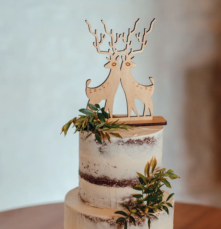 Josh & Joel — image 7